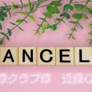 ヒメ日記 2026/05/29 10:25 投稿 近藤ひろ クラブ華