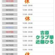 ヒメ日記 2026/05/30 06:59 投稿 近藤ひろ クラブ華