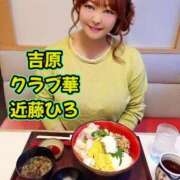 ヒメ日記 2026/06/15 05:19 投稿 近藤ひろ クラブ華