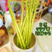 ヒメ日記 2026/06/18 12:43 投稿 近藤ひろ クラブ華