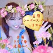 ヒメ日記 2026/06/29 23:47 投稿 近藤ひろ クラブ華