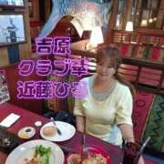 ヒメ日記 2026/07/03 19:02 投稿 近藤ひろ クラブ華