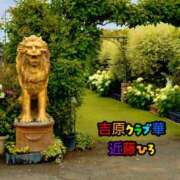 ヒメ日記 2026/07/09 18:43 投稿 近藤ひろ クラブ華