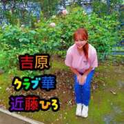 ヒメ日記 2026/07/10 17:10 投稿 近藤ひろ クラブ華