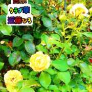 ヒメ日記 2026/07/10 17:42 投稿 近藤ひろ クラブ華
