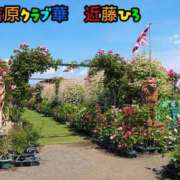 ヒメ日記 2026/07/10 18:39 投稿 近藤ひろ クラブ華