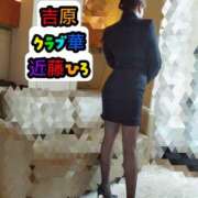 ヒメ日記 2026/07/12 01:35 投稿 近藤ひろ クラブ華