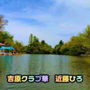 ヒメ日記 2026/07/22 08:49 投稿 近藤ひろ クラブ華