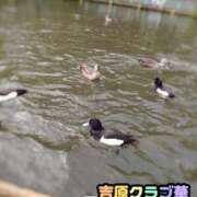 ヒメ日記 2026/07/22 10:14 投稿 近藤ひろ クラブ華