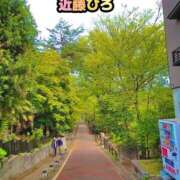 ヒメ日記 2026/07/22 12:31 投稿 近藤ひろ クラブ華