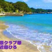 ヒメ日記 2026/07/27 07:17 投稿 近藤ひろ クラブ華