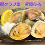 ヒメ日記 2026/08/03 08:42 投稿 近藤ひろ クラブ華