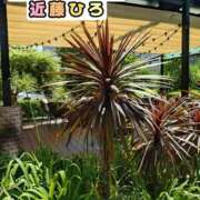 ヒメ日記 2026/08/07 17:13 投稿 近藤ひろ クラブ華
