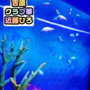 ヒメ日記 2026/08/09 10:34 投稿 近藤ひろ クラブ華