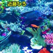 ヒメ日記 2026/08/09 11:53 投稿 近藤ひろ クラブ華