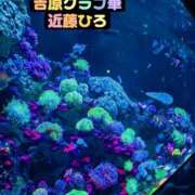 ヒメ日記 2026/08/09 13:04 投稿 近藤ひろ クラブ華
