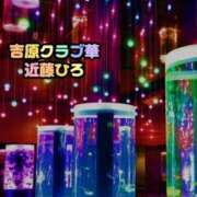 ヒメ日記 2026/08/09 13:37 投稿 近藤ひろ クラブ華