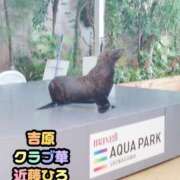 ヒメ日記 2026/08/13 07:41 投稿 近藤ひろ クラブ華