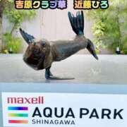 ヒメ日記 2026/08/14 10:48 投稿 近藤ひろ クラブ華