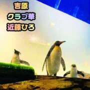 ヒメ日記 2026/08/15 09:30 投稿 近藤ひろ クラブ華