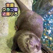 ヒメ日記 2026/08/15 11:13 投稿 近藤ひろ クラブ華