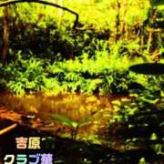 ヒメ日記 2026/08/15 11:34 投稿 近藤ひろ クラブ華