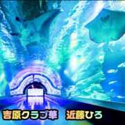 ヒメ日記 2026/08/15 23:02 投稿 近藤ひろ クラブ華