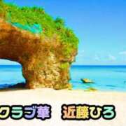 ヒメ日記 2026/08/18 07:46 投稿 近藤ひろ クラブ華