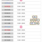 ヒメ日記 2026/09/04 11:30 投稿 近藤ひろ クラブ華
