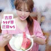 ヒメ日記 2026/09/07 08:10 投稿 近藤ひろ クラブ華