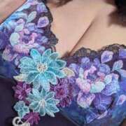 ヒメ日記 2025/12/20 10:17 投稿 青山　あき子 東京ローズマリー