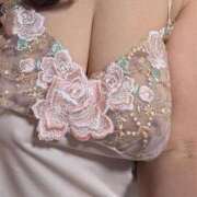 ヒメ日記 2026/01/07 11:37 投稿 青山　あき子 東京ローズマリー