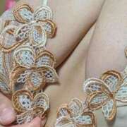 ヒメ日記 2026/02/23 10:07 投稿 青山　あき子 東京ローズマリー