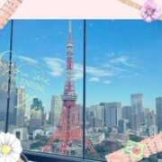 ヒメ日記 2024/12/09 08:07 投稿 杉本　加代子 東京ローズマリー