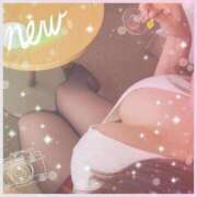 ヒメ日記 2024/12/11 15:57 投稿 杉本　加代子 東京ローズマリー