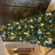 ヒメ日記 2024/12/18 08:54 投稿 杉本　加代子 東京ローズマリー