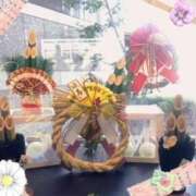 ヒメ日記 2024/12/29 05:57 投稿 杉本　加代子 東京ローズマリー