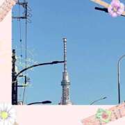 ヒメ日記 2024/12/30 20:57 投稿 杉本　加代子 東京ローズマリー