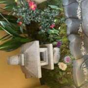 ヒメ日記 2025/01/03 15:47 投稿 杉本　加代子 東京ローズマリー