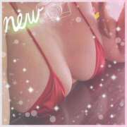 ヒメ日記 2025/05/08 11:57 投稿 杉本　加代子 東京ローズマリー