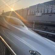 ヒメ日記 2025/06/02 09:17 投稿 杉本　加代子 東京ローズマリー