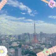 ヒメ日記 2025/06/08 05:07 投稿 杉本　加代子 東京ローズマリー