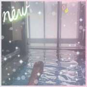 ヒメ日記 2025/07/03 09:27 投稿 杉本　加代子 東京ローズマリー