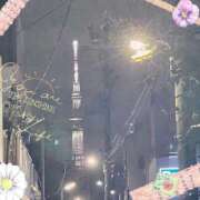 ヒメ日記 2025/10/05 19:57 投稿 杉本　加代子 東京ローズマリー