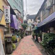 ヒメ日記 2025/11/20 12:57 投稿 杉本　加代子 東京ローズマリー