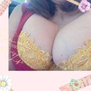 ヒメ日記 2026/01/24 19:17 投稿 杉本　加代子 東京ローズマリー