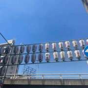ヒメ日記 2026/05/03 03:17 投稿 杉本　加代子 東京ローズマリー