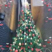 ヒメ日記 2024/12/24 19:47 投稿 仲村　いずみ 東京ローズマリー