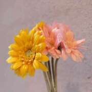 仲村　いずみ こんばんは 東京ローズマリー