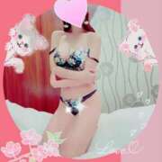 ヒメ日記 2025/01/16 20:47 投稿 小嶋　美玲 東京ローズマリー